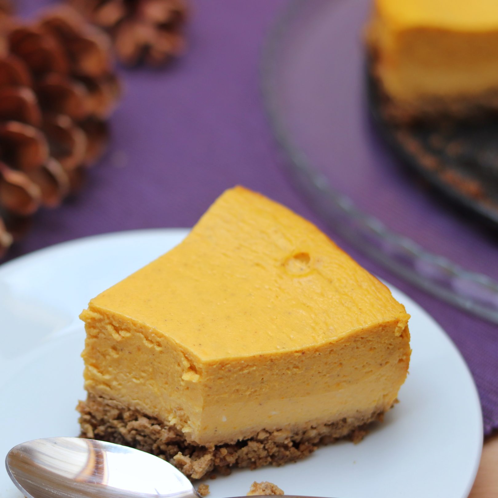 Pumpkin Cheesecake - Layered Creamy Holiday Dessert