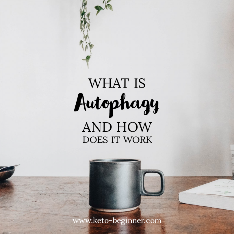What is Autophagy and How Does It Work?